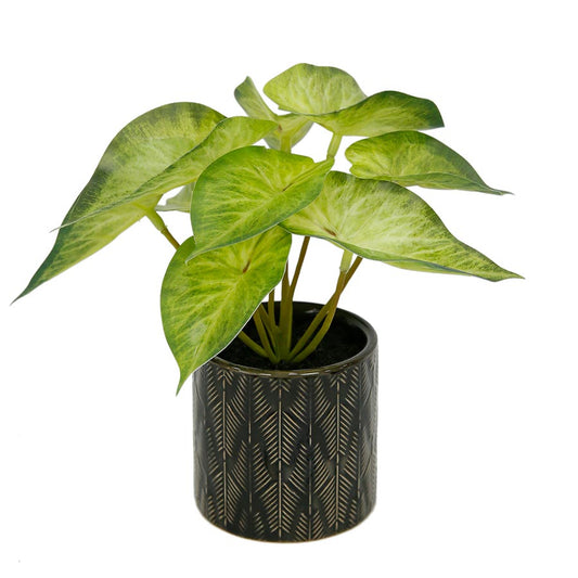 Planta Artificial Singonio Decorativa Con Macetero De Ceramica Color Negro